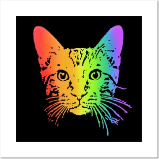 Rainbow Tabby Posters and Art